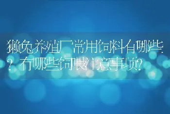 獭兔养殖厂常用饲料有哪些？有哪些饲喂注意事项？