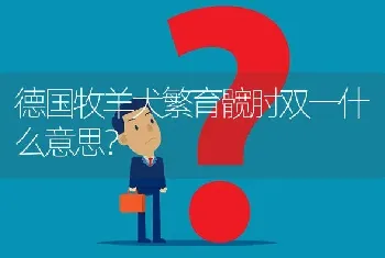 德国牧羊犬繁育髋肘双一什么意思？