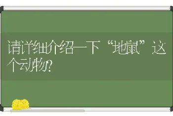 请详细介绍一下“地鼠”这个动物？