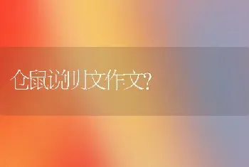 仓鼠说明文作文？