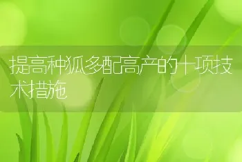 提高种狐多配高产的十项技术措施