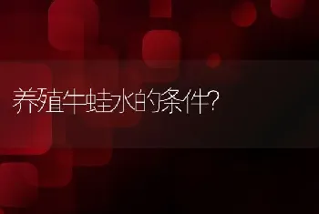 养殖牛蛙水的条件？