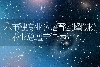 本市建专业队培育蜜蜂授粉 农业总增产值达6亿