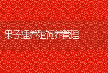 果子狸养殖饲养管理