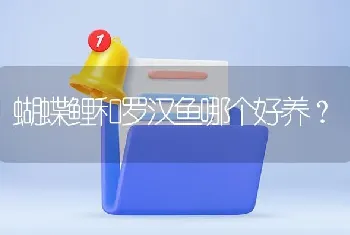 蝴蝶鲤和罗汉鱼哪个好养？