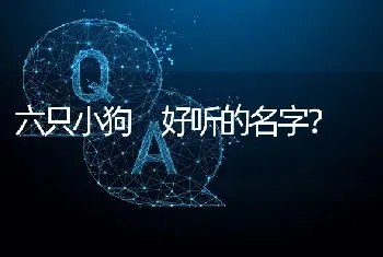 六只小狗 好听的名字？