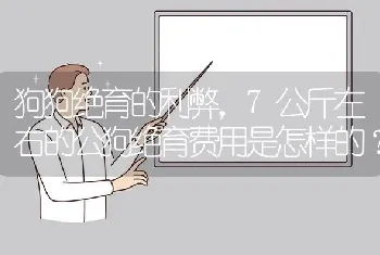 狗狗绝育的利弊，7公斤左右的公狗绝育费用是怎样的？