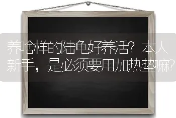 狗肚子里面的器官除了肺不能吃之外，还有什么不能吃？