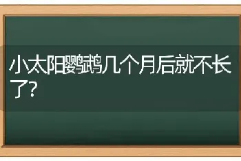 小太阳鹦鹉几个月后就不长了？