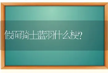 博美多大就不乱咬？