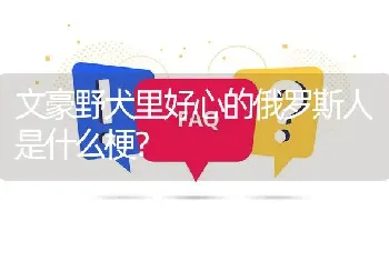 文豪野犬里好心的俄罗斯人是什么梗？