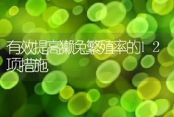 有效提高獭兔繁殖率的12项措施