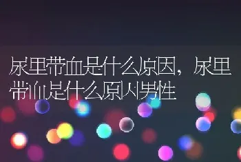 尿里带血是什么原因，尿里带血是什么原因男性