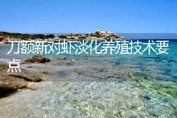 刀额新对虾淡化养殖技术要点