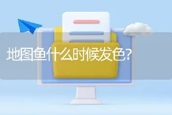 地图鱼什么时候发色？