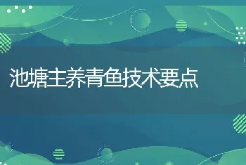 雏鹌鹑的科学饲养方法