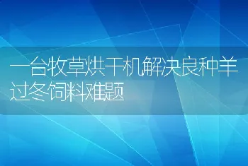 观赏鱼病常用药物及其使用方法