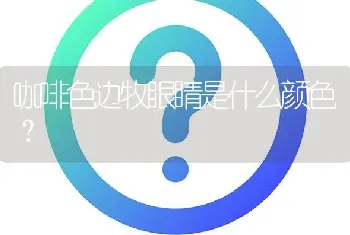 咖啡色边牧眼睛是什么颜色？