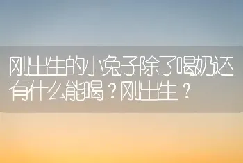 刚出生的小兔子除了喝奶还有什么能喝？刚出生？