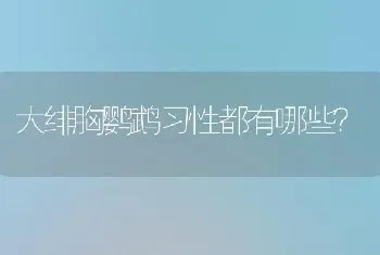 大绯胸鹦鹉习性都有哪些？