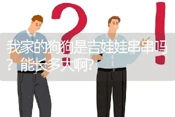 我家的狗狗是吉娃娃串串吗?能长多大啊？