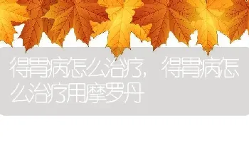 得胃病怎么治疗，得胃病怎么治疗用摩罗丹