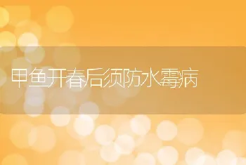 大棚冬季饲养肉鸡关键技术