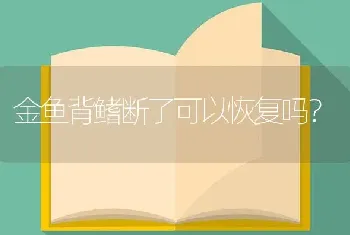 金鱼背鳍断了可以恢复吗？