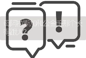 母阿拉斯加和公金毛那个长得跟大？