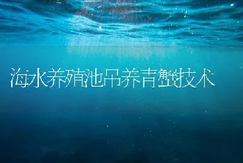 海水养殖池吊养青蟹技术