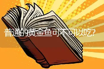 普通的黄金鱼可不可以吃？