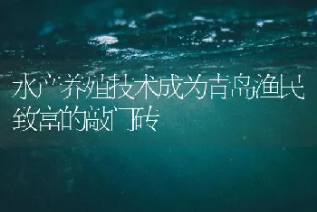 水产养殖技术成为青岛渔民致富的敲门砖