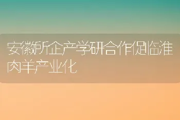 河蟹保活运输技巧