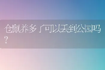 仓鼠养多了可以丢到公园吗？