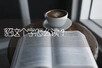 貂这个字怎么读？