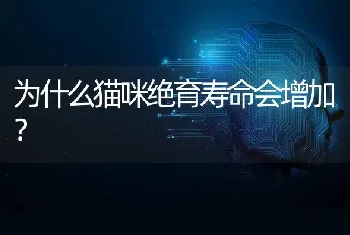 为什么猫咪绝育寿命会增加？