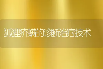 狐狸疥螨的诊断治疗技术