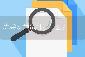 养金龙鱼象征着什么？