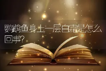 鹦鹉鱼身上一层白霜是怎么回事？