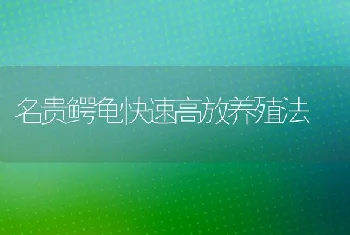 名贵鳄龟快速高放养殖法