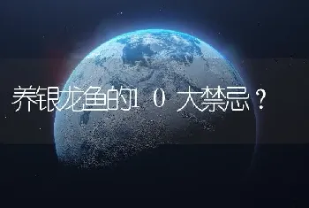 养银龙鱼的10大禁忌？