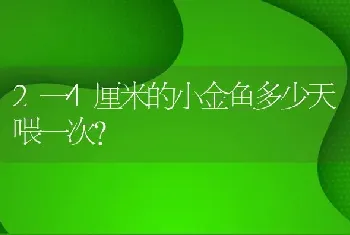 2一4厘米的小金鱼多少天喂一次？