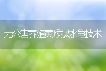 无公害养殖黄喉拟水龟技术