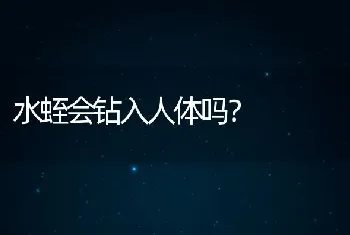 水蛭会钻入人体吗？