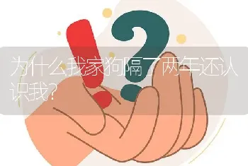 为什么我家狗隔了两年还认识我？