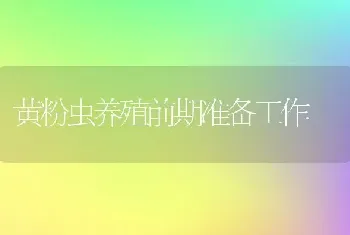 黄粉虫养殖前期准备工作