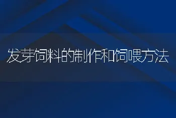 发芽饲料的制作和饲喂方法