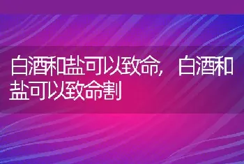 白酒和盐可以致命，白酒和盐可以致命割