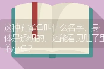 这种孔雀鱼叫什么名字，身体是透明的，还能看见肚子里的小鱼？