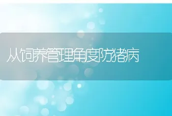 从饲养管理角度防猪病